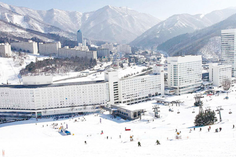 From Tokyo: Naeba Ski Resort Day Trip with Lift Pass Ski or Snowboard Gear Rental Option