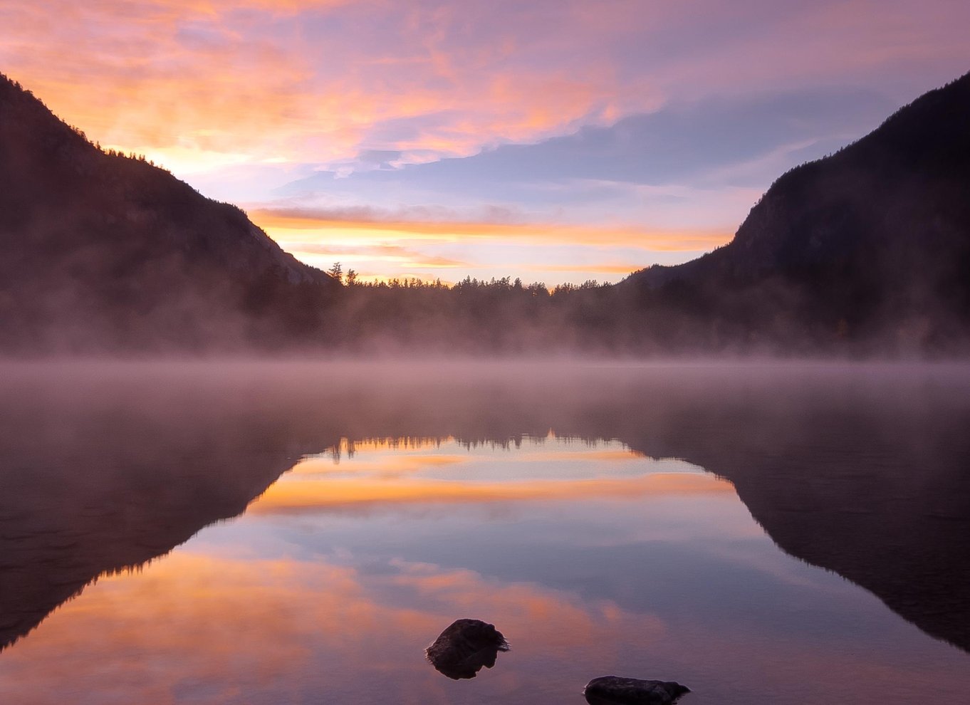 Whistler: Morgen med bjørnene Land Rover naturskøn udflugt