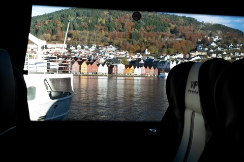 Bergen: wycieczka minibusem po najbardziej malowniczych miejscach w mieście