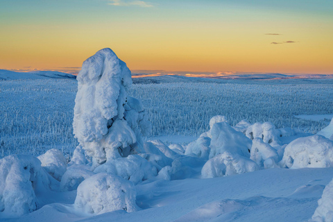 Rovaniemi: Riisitunturi Guidad vandring med fotografering