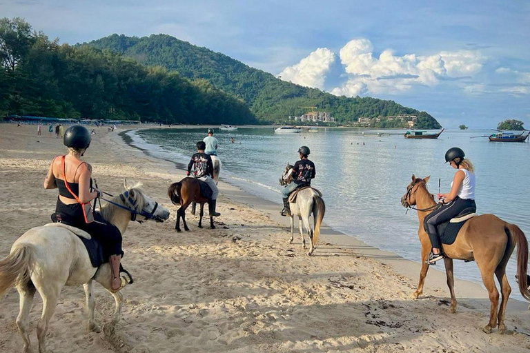 Phuket Beach Horseback Adventure Horse Riding 8:30 AM