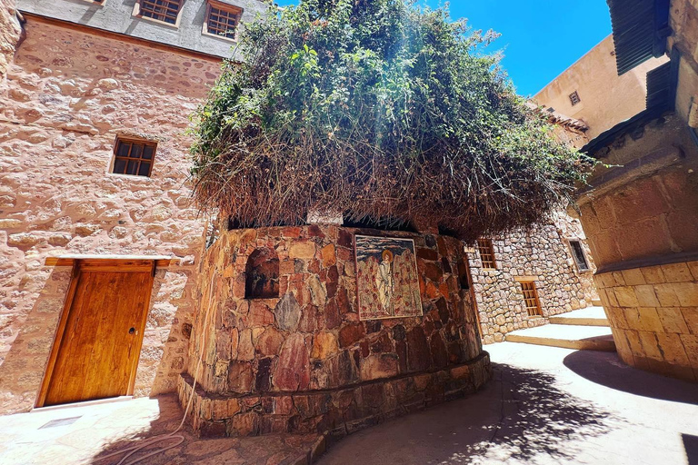 Desde el Puerto de Alejandría : Excursión de un día a la Ciudad Vieja Cristiana e IslámicaDesde el Puerto de Alejandría: Excursión de un día a la Ciudad Vieja Cristiana e Islámica