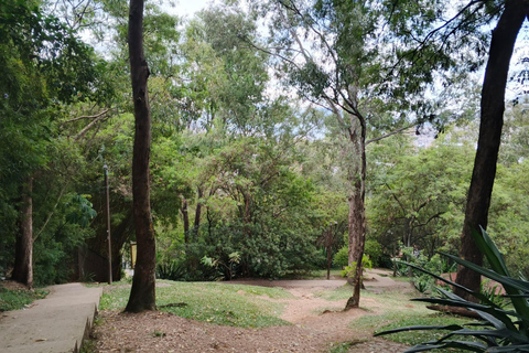 Medellín: Cultural Tour with Lunch and Commune 13