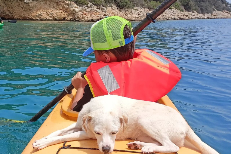 De Atenas Caiaque no mar Cidade submersa de EpidauroDe Atenas Sea Kayak Sunken City of Epidaurus