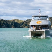 Raglan: Scenic Nature Boat Cruise