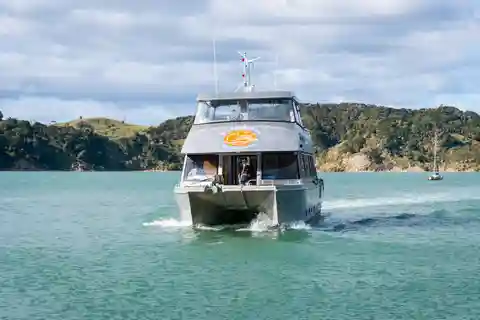 Raglan : Croisière à l'heure du déjeuner dans le port de Raglan