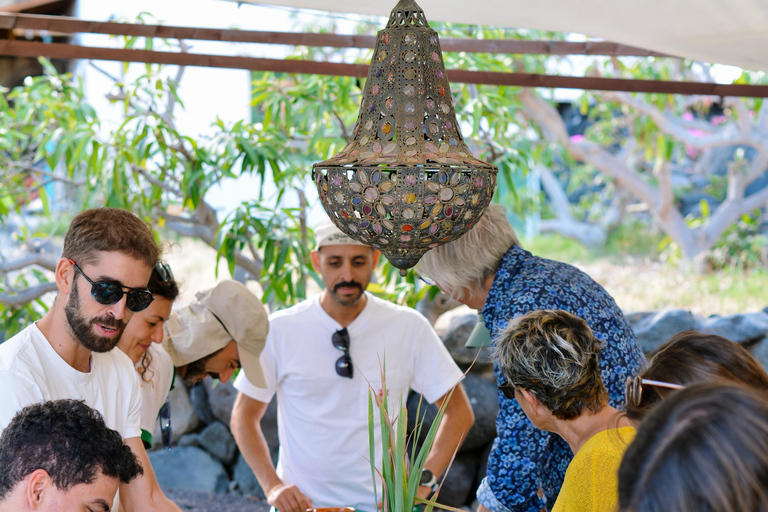 Mojo Workshop and botanical walk