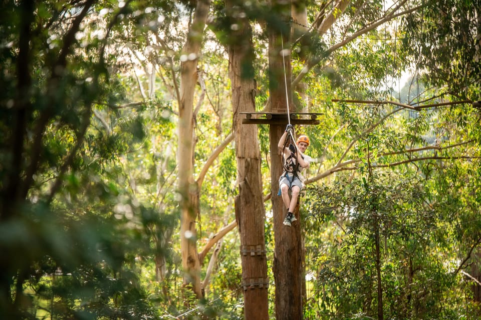 TREETOP EXPLORER - Tree Climbing Adventures and Training