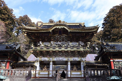 L&#039;avventura d&#039;élite di Nikko: Tour guidato privato