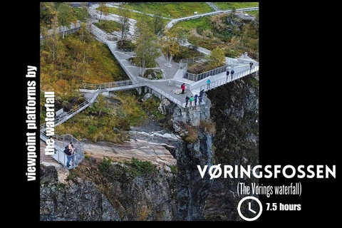 Chute d'eau de Vorings (la plus visitée de Norvège) : Excursion privée d'une journée