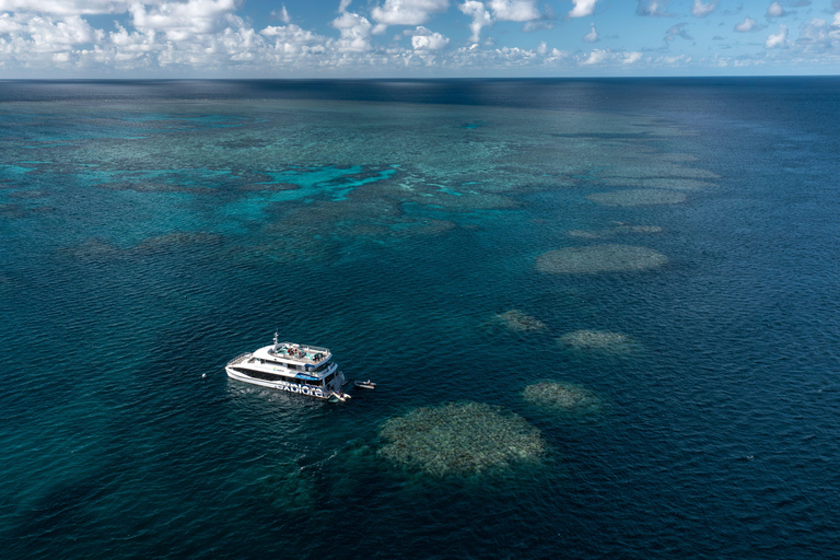 Airlie Beach: Great Barrier Reef Snorkel from Shute Harbour