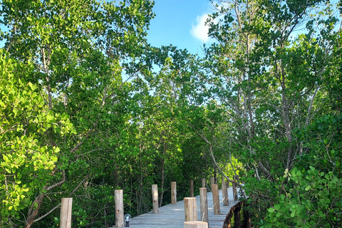 Zanzibar: Las Jozani i bar plażowy Kae Funk Sunset