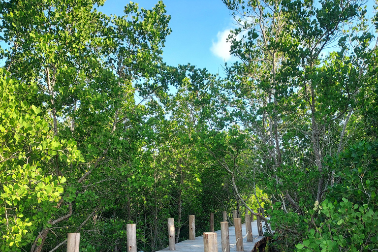 Zanzibar: Las Jozani i bar plażowy Kae Funk Sunset