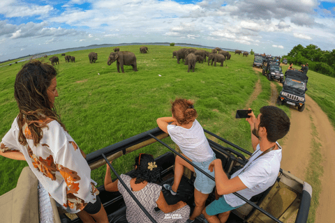 Minneriya: Sunset Elephant Safari Tour and Wildlife Sights