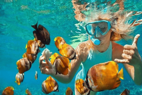 Private Catalina Island Snorkeling & Beach Day Trip