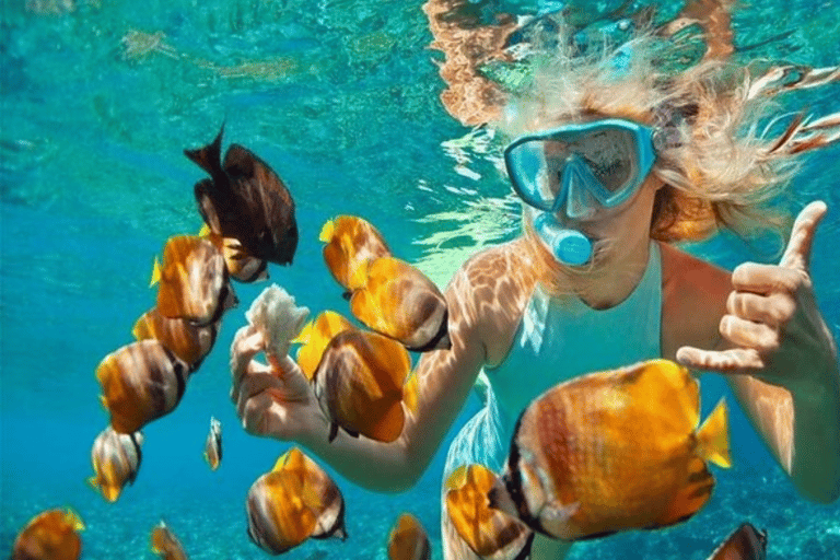 Private Catalina Island Snorkeling & Beach Day Trip