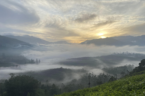 De Kochi a Munnar: Eravikulam, finca de té y cascadas