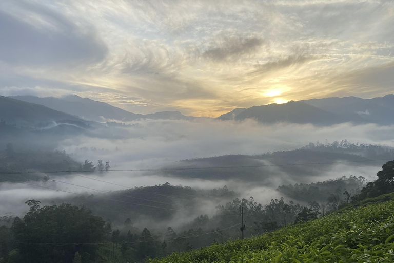 De Kochi a Munnar: Eravikulam, finca de té y cascadas