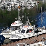 Svolvaer: Fishing Trips with a personal touch