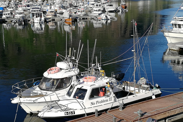 Svolvaer: Fishing Trips with a personal touch