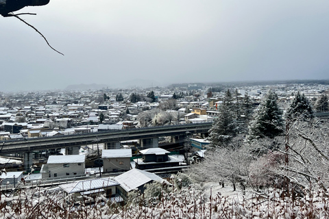 Nagano: Snow Monkeys, Zenko-ji Temple, and Lake Nojiri Tour