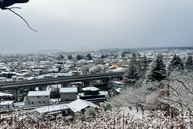 Nagano: Snow Monkeys, Zenko-ji Temple, and Lake Nojiri Tour