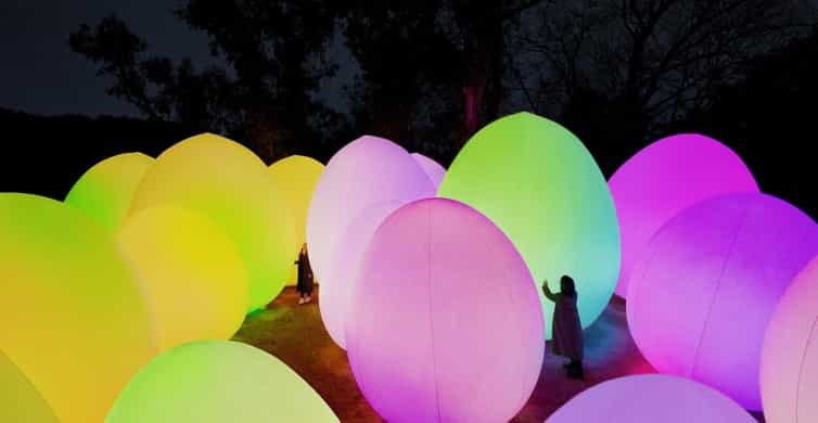 Osaka: teamLab Botanical Garden Entry Ticket photo 3