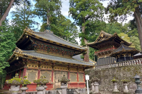 Excursion privée d&#039;une journée à Nikko avec guides anglophones