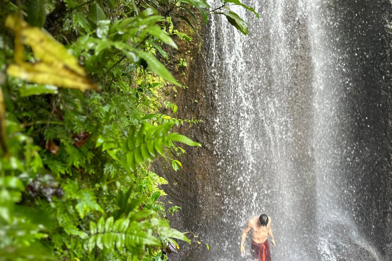 Cascada Taman Beji Griya: Baño Sagrado/Ritual de Retiro del AlmaExcursión con punto de encuentro en la Cascada Griya Beji