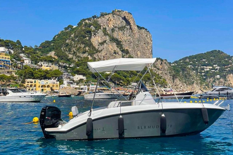 From Sorrento: Discover the island of Capri by private boat