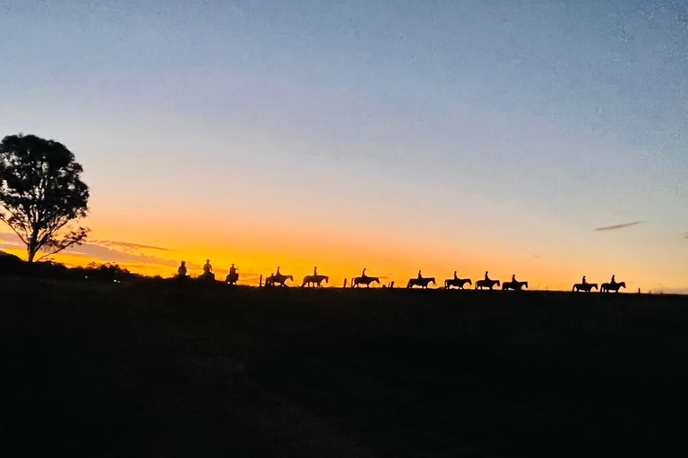 Hunter Valley: Sunset Horse Riding Tour 90min