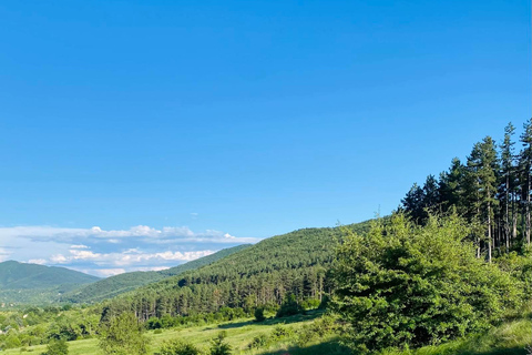 Sofia: The Beauty of the Countryside with a Homemade Lunch