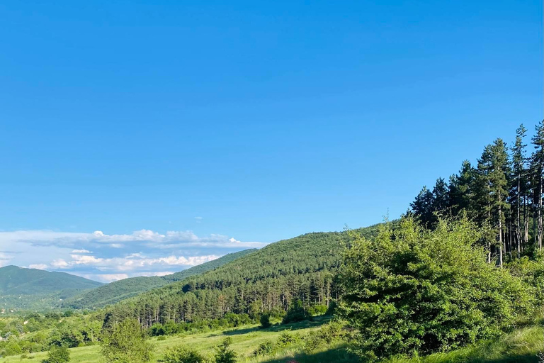 Sofia: The Beauty of the Countryside with a Homemade Lunch