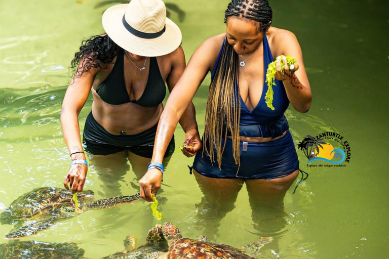 Swim with Turtles at The Lagoons Zanzibar & Stone Town Tour Transfer Not Included: Meeting Point at Stone town Only