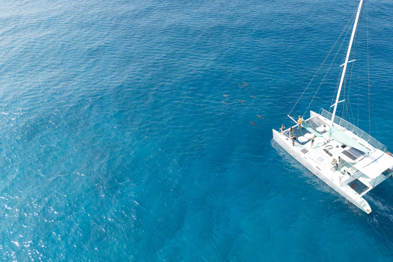 Isla Saona: Punta Cana All-inclusive