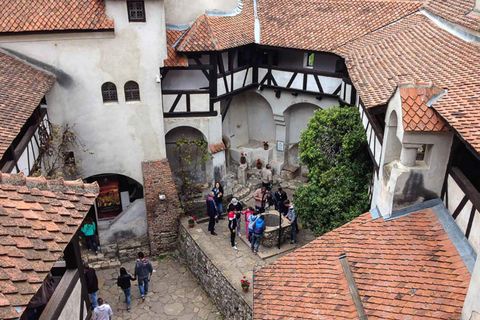 Castillo de Drácula, Castillo de Peles y Ciudad de Brasov ,Tour privado