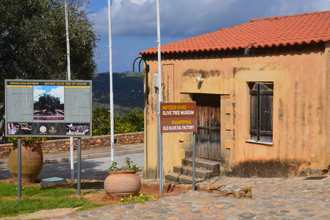 Crete: Wine & Olive Oil Tasting & Historic Villages Tour