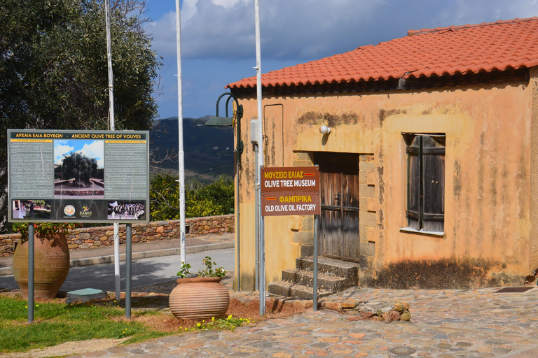 Crete: Wine & Olive Oil Tasting & Historic Villages Tour