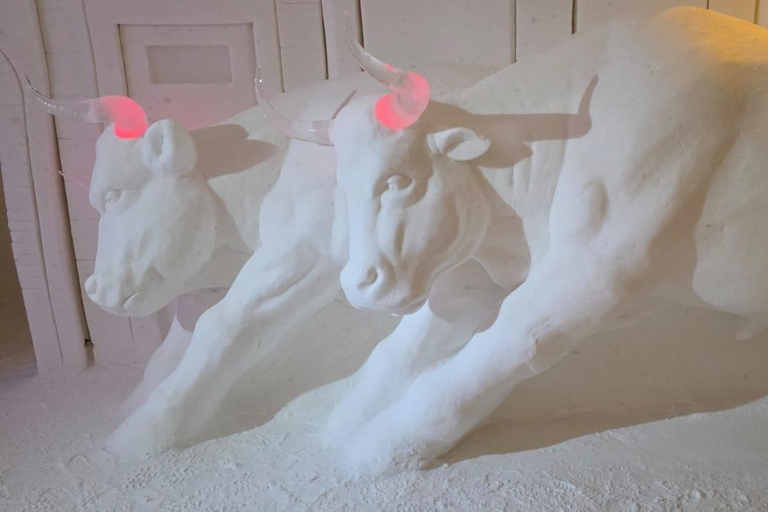 Levi: Private Snow Village tour. Northern lights possibility