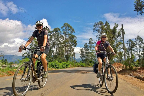 Bicycle Adventure-Bandarawela to Punagala & Tea Factory Tour