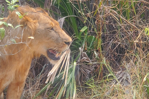 SELOUS : 2 DAGEN SAFARI VANUIT ZANZIBAR