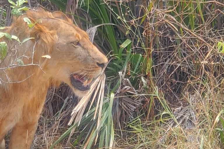 SELOUS : 2 DAGEN SAFARI VANUIT ZANZIBAR