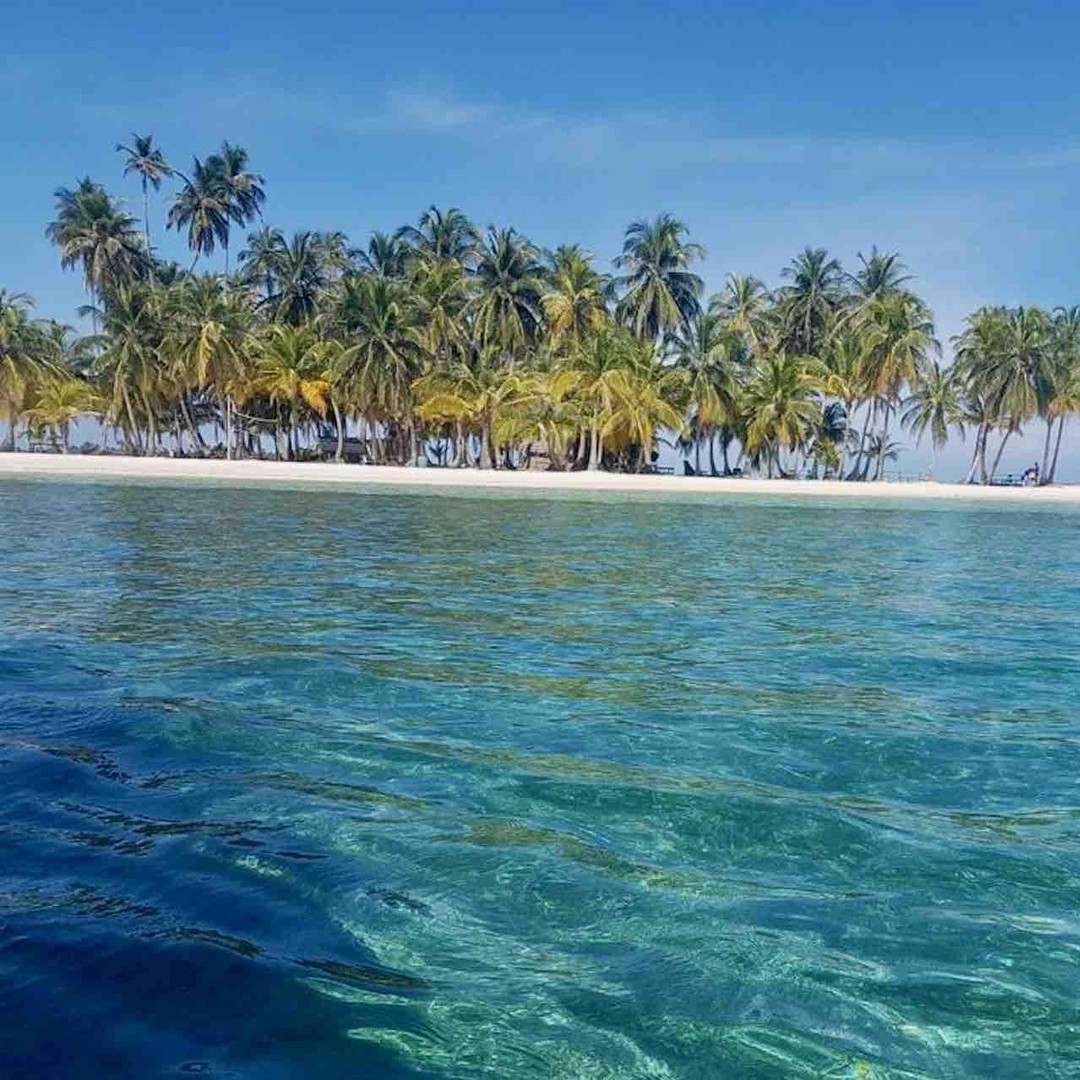 Galería de fotos para redes