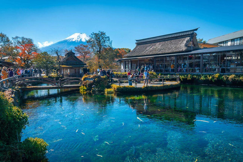 Mt Fuji Private Luxury Full-Day Tour with customization