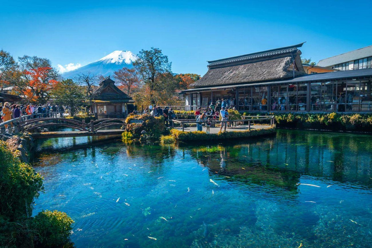 Mt Fuji Private Luxury Full-Day Tour with customization