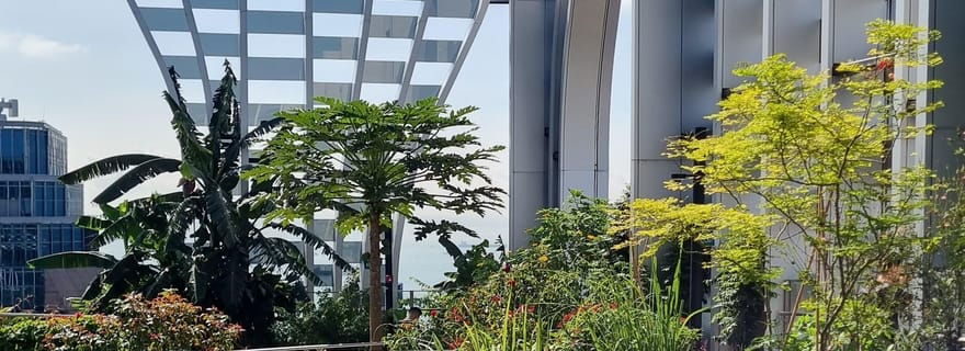 Savourer Singapour : Un voyage culturel dans la rue