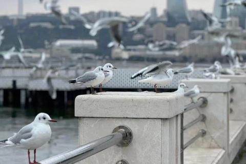 Baku: Interactive City Tour with Wine Tasting