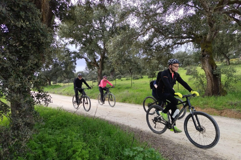 Ronda: Via Pescadora to Setenil de las Bodegas Cycling Tour