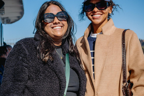 NYC Skyline &amp; Statue of Liberty Sightseeing Cruise90 minuten durende rondleiding