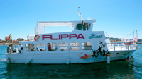 Isla del Baron, ruta alrededor de la joya del Mar Menor - Housity